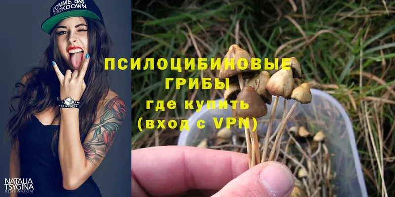 Псилоцибиновые грибы Magic Shrooms  Гурьевск 